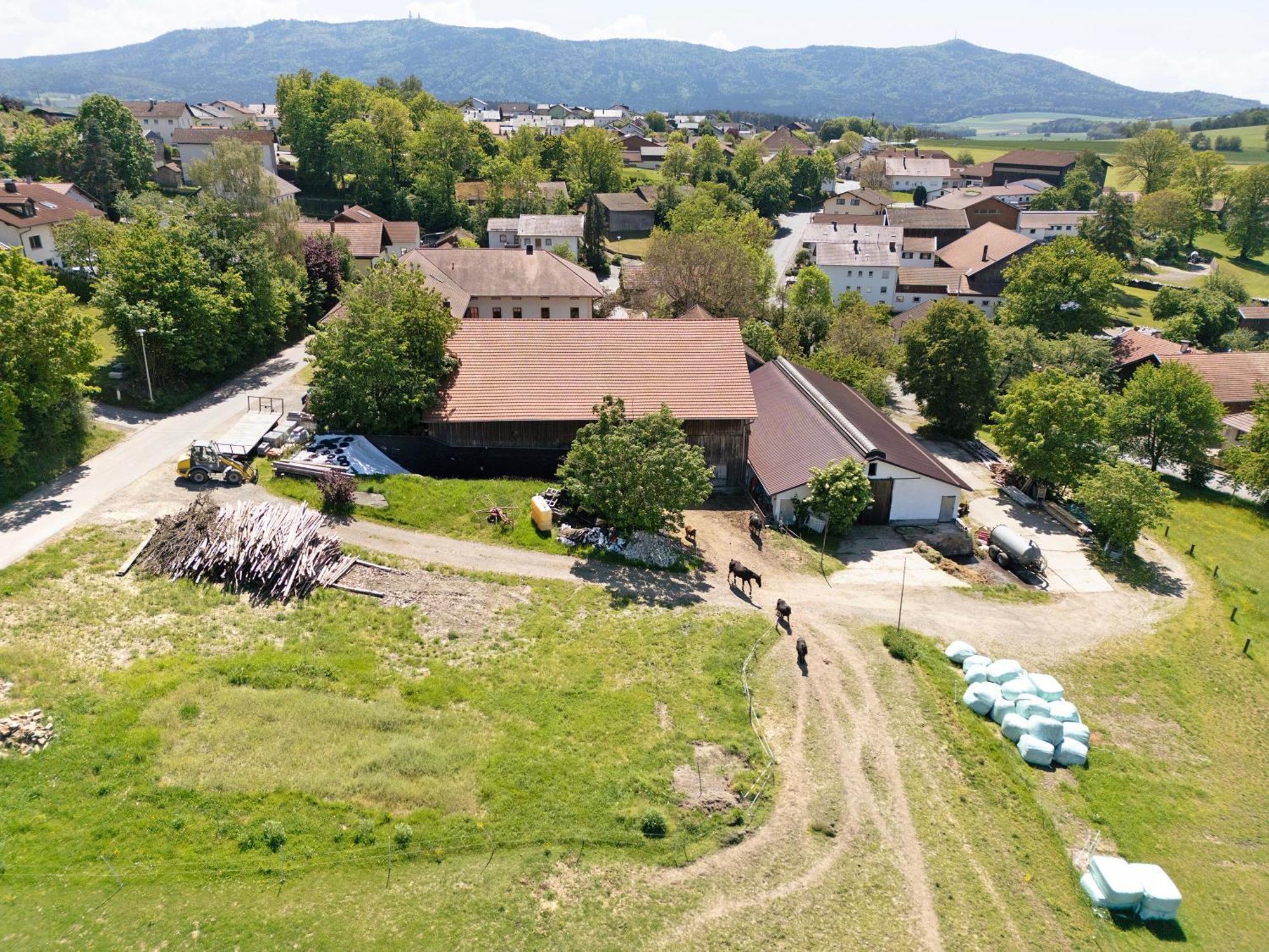 Ferienhof Schuetz Eschlkam Zewnętrze zdjęcie